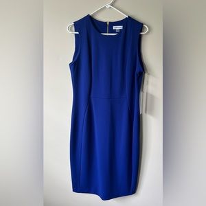 Calvin Klein Sheath Dress